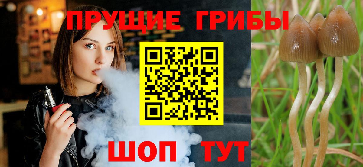 Галлюциногенные грибы Psilocybine cubensis  Вход с VPN  Псилоцибиновые грибы MAGIC MUSHROOMS  Чебаркуль 